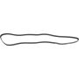 Autopart International Drive Belt 1602360317