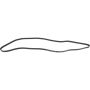Autopart International Drive Belt 1602360329