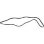 Autopart International Drive Belt 1602360337