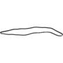 Autopart International Drive Belt 1602360343