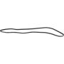 Autopart International Drive Belt 1602360350