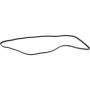Autopart International Drive Belt 1602360367