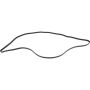 Autopart International Drive Belt 1602360376