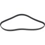 Autopart International Drive Belt 1602360410