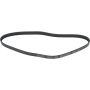 Autopart International Drive Belt 1602360411