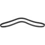 Autopart International Drive Belt 1602360412