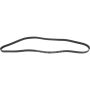Autopart International Drive Belt 1602360425