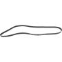Autopart International Drive Belt 1602360430