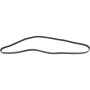 Autopart International Drive Belt 160250138
