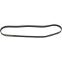 Autopart International Drive Belt 160250339