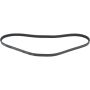 Autopart International Drive Belt 160250680