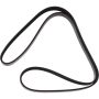 Autopart International Drive Belt 1602597041