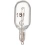 Philips 161CP Philips Standard Minature 161 Pack of 10