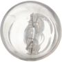 Philips 161CP Philips Standard Minature 161 Pack of 10