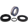 All Balls Racing 25-1580 07-13 Honda TRX420 FE Wheel Bearing Kit Rear
