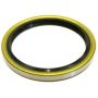 SKF 16509 Seal