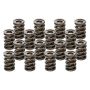 PAC RACING SPRINGS PACPAC-1940-16 Valve Springs - HR Series (16)  1.555 Dual