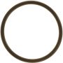 Autopart International Water Outlet Gasket 167720495