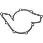 Autopart International Water Pump Gasket 1677288558