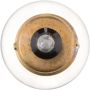 Philips 1683CP Philips Standard Miniature 1683 Pack of 10