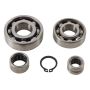 Hot Rods TBK0061 84-01 Yamaha YZ 80 80cc Transmission Bearing Kit