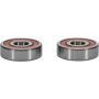 Pivot Works 25-1138-P Hyosung, Suzuki Wheel Bearing Kit Premium Bearings
