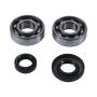 Hot Rods K089 04-05 KTM 50 SX PRO SR 50cc Main Bearing & Seal Kit