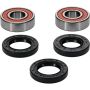 Pivot Works 25-1219-P BMW, Honda, Kawasaki, Suzuki, Yamaha Wheel Bearing Kit Premium Bearings