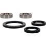 Pivot Works 25-1584-P Triumph Wheel Bearing Kit Premium Bearings