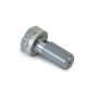 EARLS EAR977517ERL 10MM x 1.0  Banjo Bolt