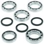 QuadBoss 414292 2010 Polaris RZR 4 800 (02) Front Differential Bearing & Seal Kit