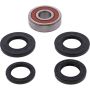 Pivot Works 25-1643-P CF-Moto, Honda Wheel Bearing Kit Premium Bearings