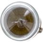Philips 1816CP Philips Standard Miniature 1816 Pack of 10