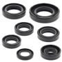 Vertex Pistons 822105 Vertex Gaskets 1985 Honda CR80R Oil Seal Kit