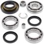 All Balls Racing 25-2013 95-01 Honda TRX400FW Fourtrax Foreman 4x4 Differential Bearing & Seal Kit Rear