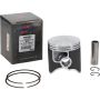Vertex Pistons 24569C Vertex Piston 22-24 Beta RR 2T 300 300cc Cast Replica Piston Kit