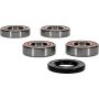 Pivot Works 25-1533-P Husqvarna, KTM Wheel Bearing Kit Premium Bearings