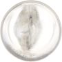 Philips 193CP Philips Standard Miniature 193 Pack of 10