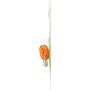 Philips 194NALLB2 Philips LongerLife Miniature 194NALL