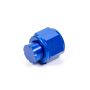 AEROQUIP AERFCM3743 #12 An Cap Aluminum