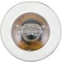 Philips 198CP Philips Standard Miniature 198 Pack of 10