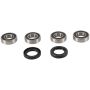 Pivot Works PWFWK-K36-000 91-95 Kawasaki Mule 500 PW Front Wheel Bearing Kit
