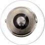 Philips 199CP Philips Standard Miniature 199 Pack of 10