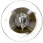 Philips 199CP Philips Standard Miniature 199 Pack of 10