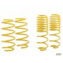 mountune Sport Spring Set 2014-2015 Fiesta ST