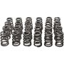Manley Performance 26135 Manley Toyota Supra 2JZ 6 Cyl. Valve Spring and Retainer Kit (w/o Valve Locks)