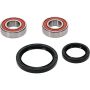 Pivot Works 25-1590-P Triumph Wheel Bearing Kit Premium Bearings