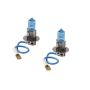 Putco 230003NW Night White H3 - Pure Halogen HeadLight Bulbs