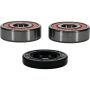 Pivot Works 25-1309-P Hyosung, Suzuki, Yamaha Wheel Bearing Kit Premium Bearings