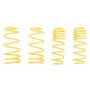 ST Suspensions 66205 ST Sport-tech Lowering Springs VW Golf IV New Beetle Beetle Convertible